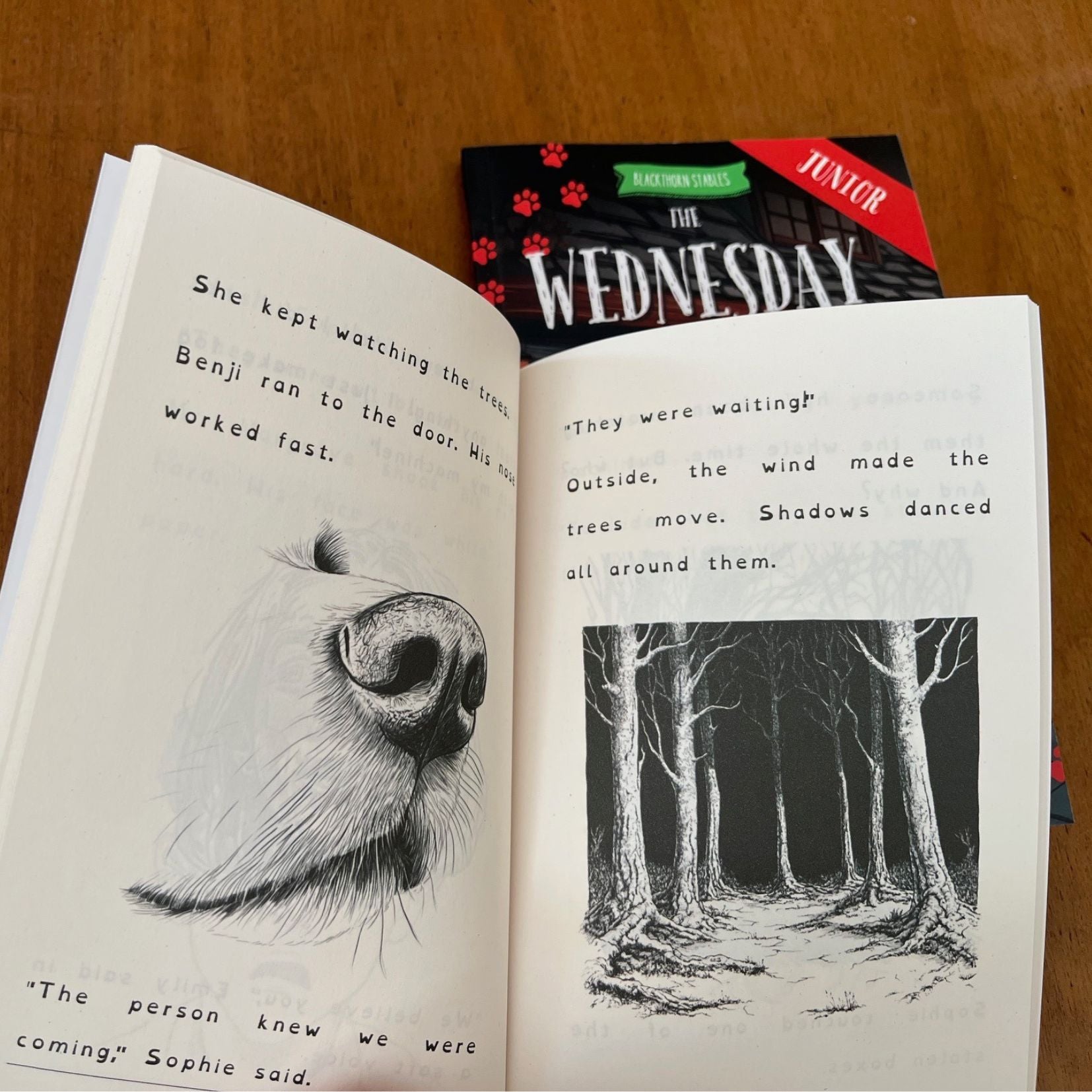 interior of a dysleixa friendly book. Written by  #1 best-selling Irish Author Elaine Heney.