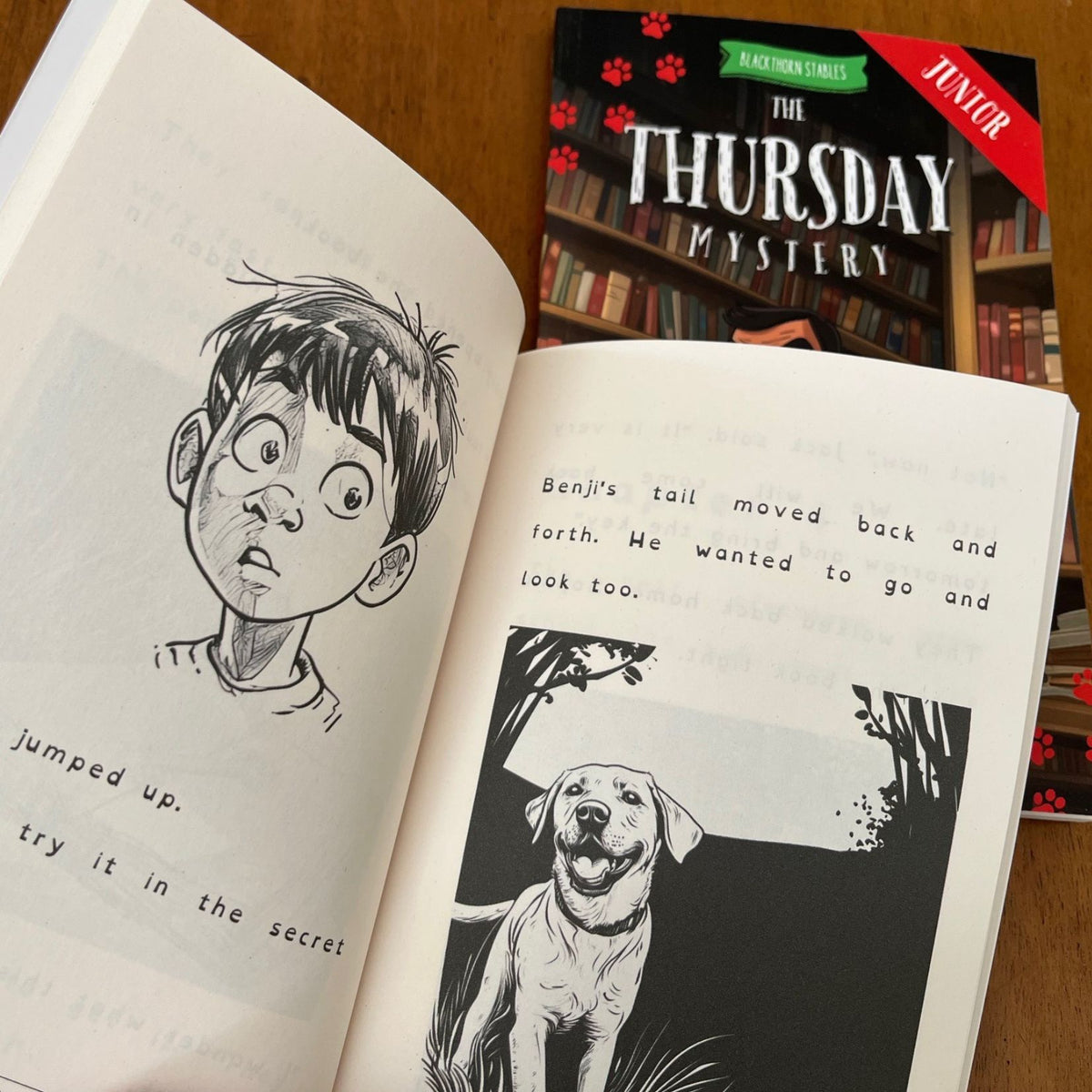 interior of a dysleixa friendly kids book. Written by  #1 best-selling Irish Author Elaine Heney.