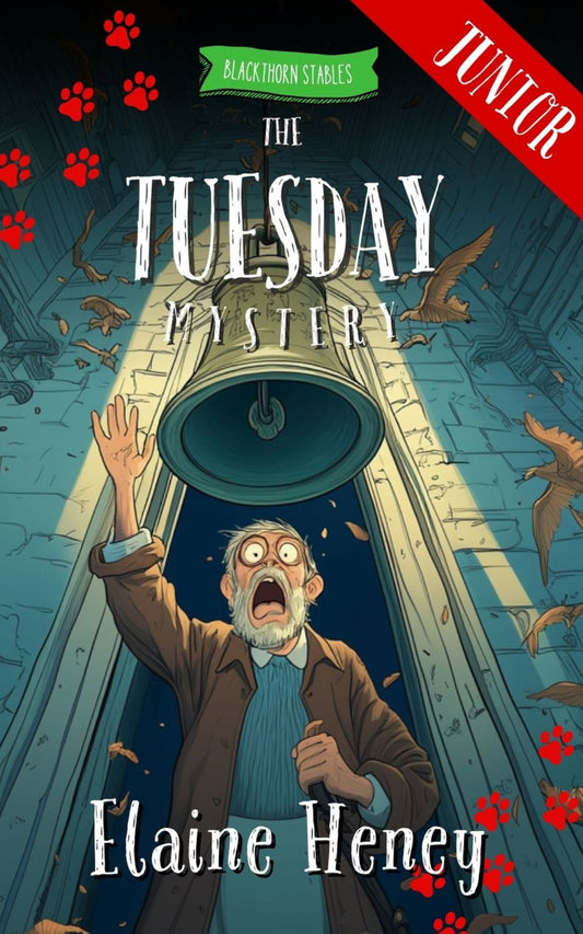 Cover of 'The Tuesday Mystery' featuring an illustration of a man in a church bell tower with a expression of surprise, surrounded by flying birds, indicating a sense of mystery or surprise. Written by  #1 best-selling Irish Author Elaine Heney.