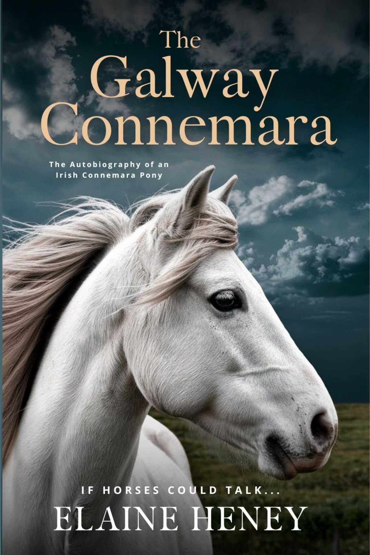 Cover of the book 'The Galway Connemara' featuring a white Connemara pony with a backdrop of a stormy sky and ocean. Written by  #1 best-selling Irish Author Elaine Heney.